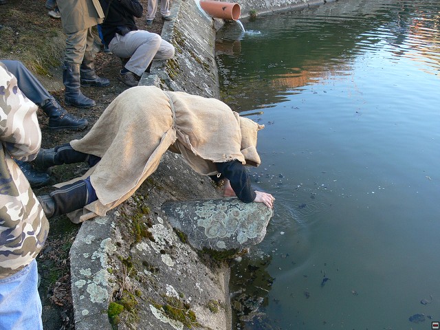 img00160.jpg