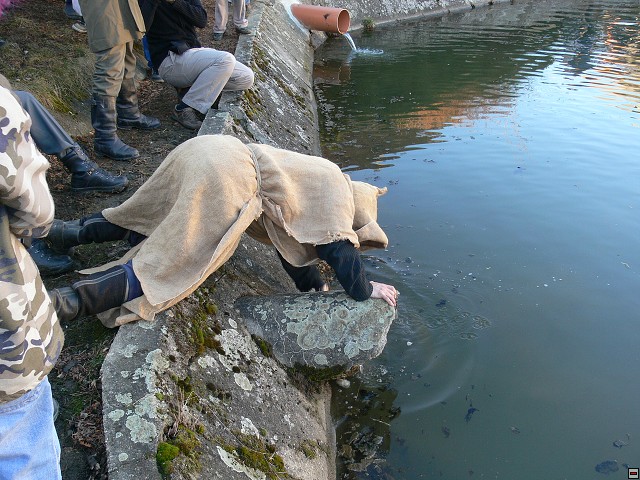 img00161.jpg