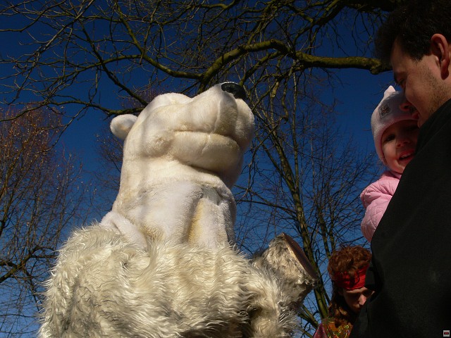 img00007.jpg